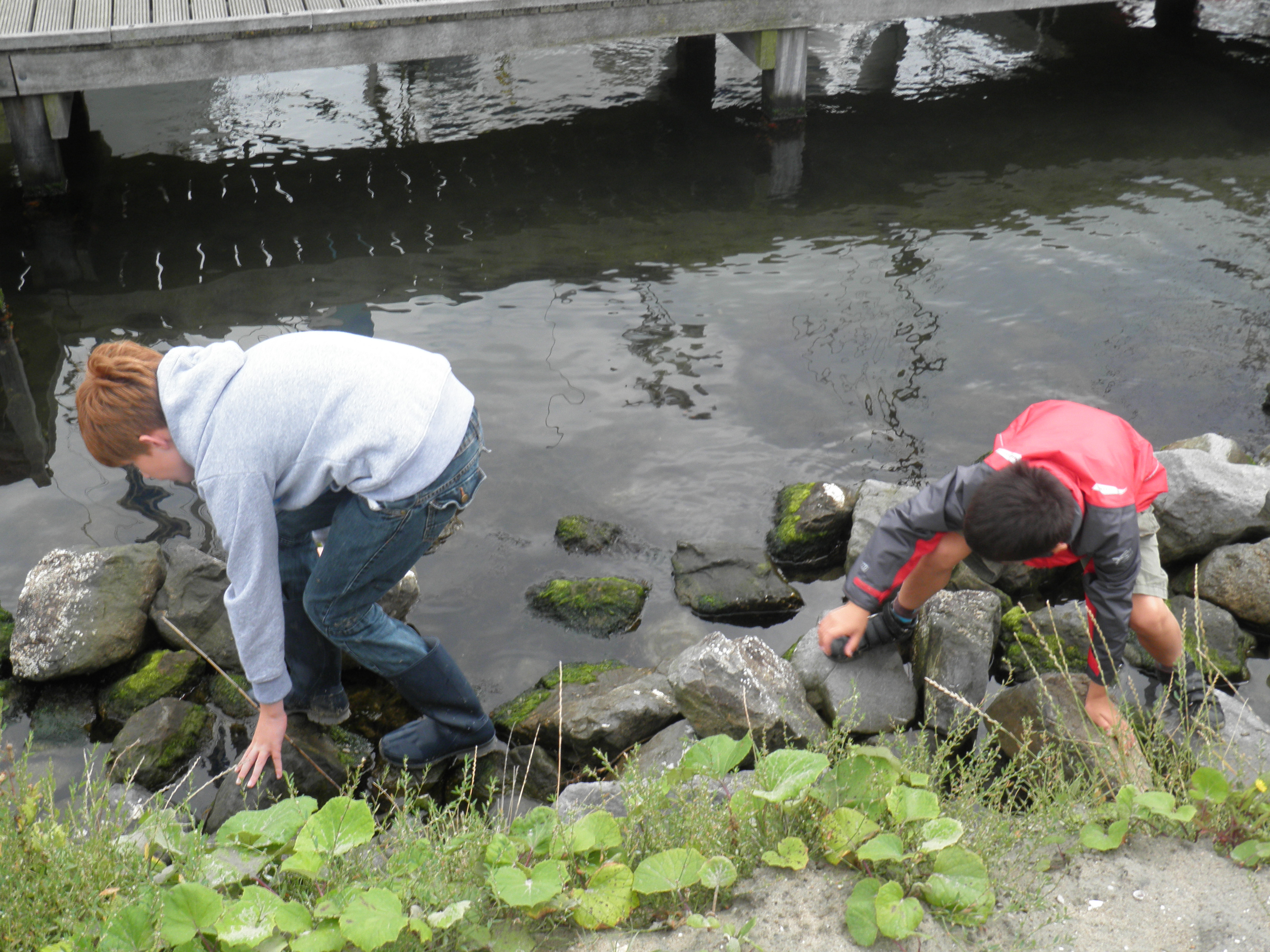 12 8 2011 10 37 29 0087